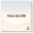성산효 마을봉사단 | 부모님 효도여행 제주도 다낭 일본 온천 강원도 완벽 정보
