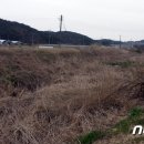 수지면 고정마을 이미지