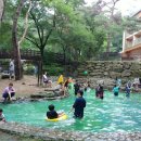 조령산자연휴양림 이미지