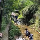 캠프M817 이미지