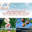 참샘푸드