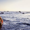 마지막해녀 이미지