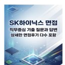 She's# | SK하이닉스 SHE P&S기술(펌프,스크러버) 면접후기 6명 및 기출