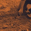 민정농장 이미지