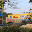 오늘따라청둥오리 이미지