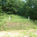 동막동(1) 이미지