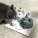 디지털미디어시티역 공항철로 9번 출구 앞 | DMC역 케이크 제작 주문 후기｜너무 귀여워서 못 먹겠어요... (DMC 베티 케이크)