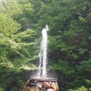 속초시보건소 이미지