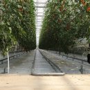 씨이에스 이미지