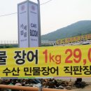 수락수산