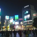 시부야