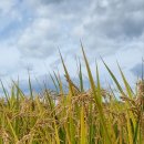 부산큰병원 이미지