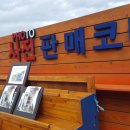 강릉정동진레일바이크 이미지