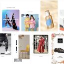 캣솔루션 이미지