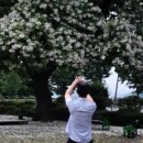 황제농장2 이미지