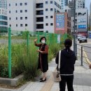 세류초교 이미지