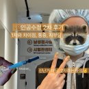 수정-2 | 인공수정 2차 후기🩺/1차와 다른점/통증/자부담비용💵/진행순서&amp;자가주사💉