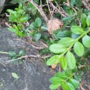 서현1동주민센터내 이미지