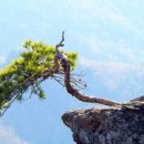 국일산소 이미지