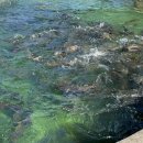 수청횟집 이미지