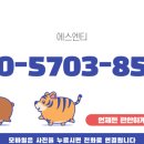 가나에스엔티