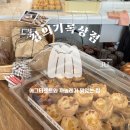 집의 기록 | 제주 한림 에그타르트 맛집 집의기록상점 | 오픈런 구매 후기