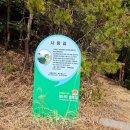 청산도 | 청산도펜션 청산도ok펜션 방문후기