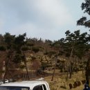 대산사슴농장 이미지