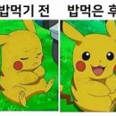 숯 그리고 소금 이미지