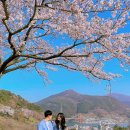 노량나루터 공원 이미지