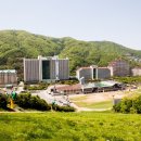 대명설악컨트리클럽 이미지