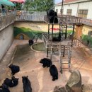 수목원파크 이미지