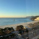 디오스테이2 이미지