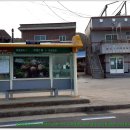 고래불모텔 Daum카페