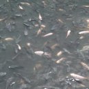 뉴월드빌딩 이미지