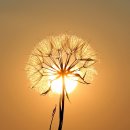 밝은행정사 사무소 이미지