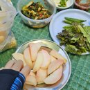 지리산장당계곡식당 이미지