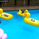 하얀멍이 이미지