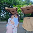 [내돈내산] 해가 떠도 무섭지 않아! 지붕 달린 코지드림 썬가드 캠핑의자 솔직후기 🏕️