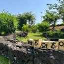 추억펜션 | 제주 독채펜션 제주의추억 다녀온 후기