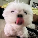 민 세탁소 | 지나고 보니 제일 리즈였던 시절