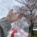 바미케이크