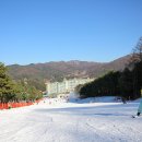 웰리힐리 스키장 이미지