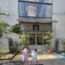 파주 출판단지 밀크북 바이 모노플렉스에서 사랑의 하츄핑 관람 굳굳♡