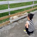 무등목장 이미지