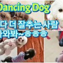 동물농장 이미지