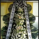 법무법인서호 이미지