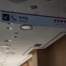 버스킹월드 | 석촌호수 벚꽃축제 데이트 후기 (롯데월드몰 주차 추천, 밤 10시 이후 주차장 들어가는 법)