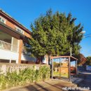 용산기지 옛 미군장교숙소(현 용산공원) 이미지