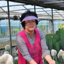 천안시 화성선인장 이미양 대표 - ‘밍크선인장’에 푹 빠진 여성농업인, “행복해요” 이미지